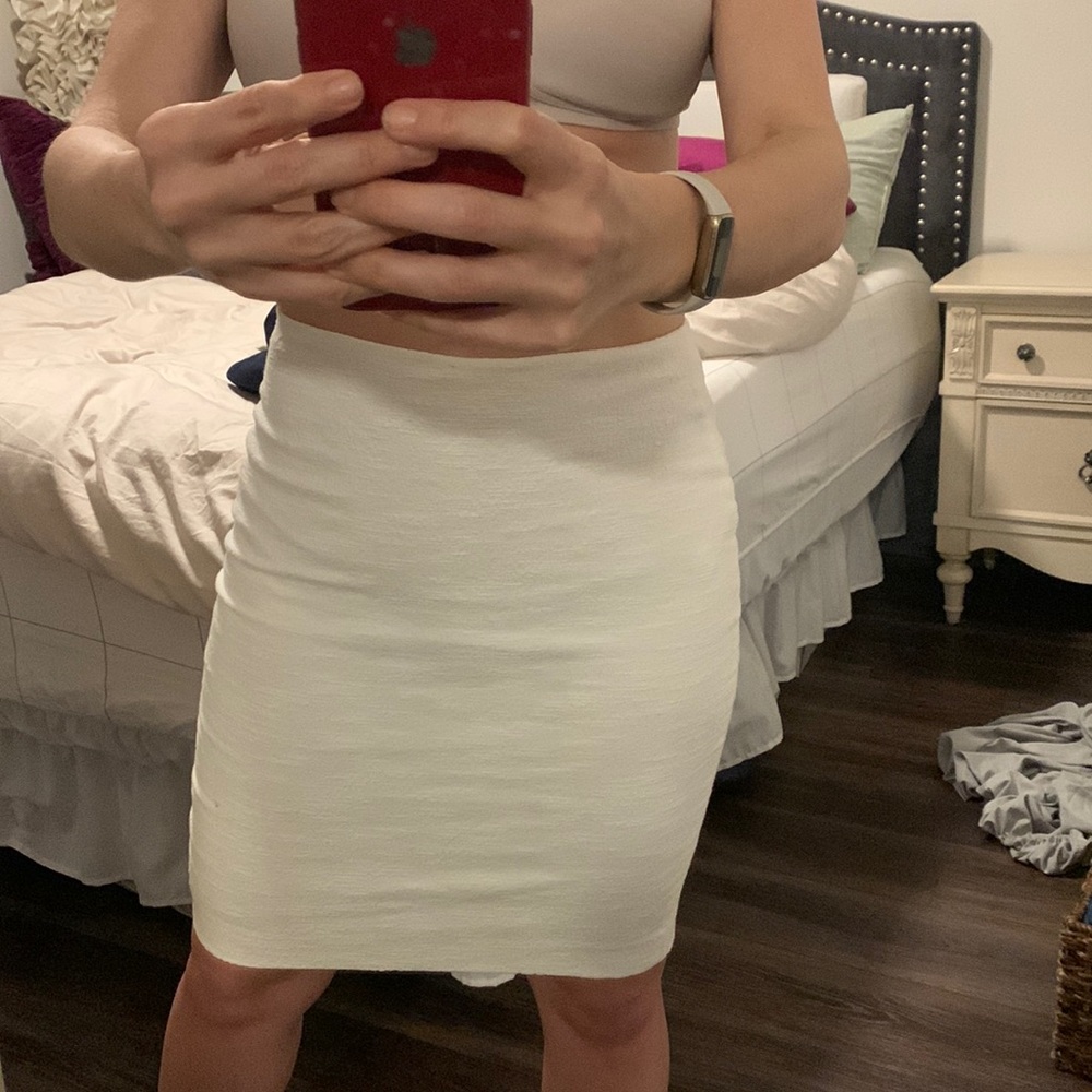 Ann Taylor Skirt